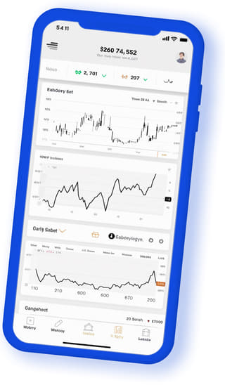 Raven Quantis digital web application on mobile device